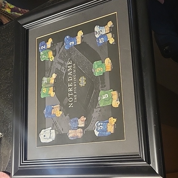💙💛💚 Notre Dame Fighting Irish Football History Tribute 💚💛💙 - Picture 1 of 2